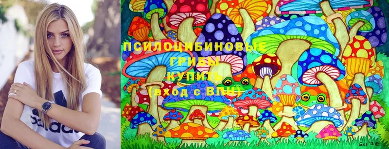 где купить наркотик  Карталы  Псилоцибиновые грибы Psilocybine cubensis 